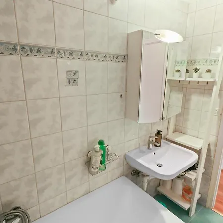 Magnifique A Cote Des Remontees Mecaniques Apartment