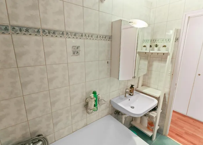 Magnifique à Côté Des Remontées Mécaniques Appartement